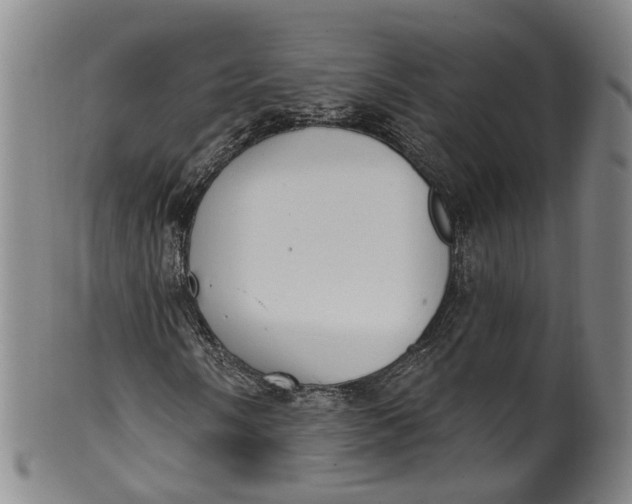 X0000100501058200806271254