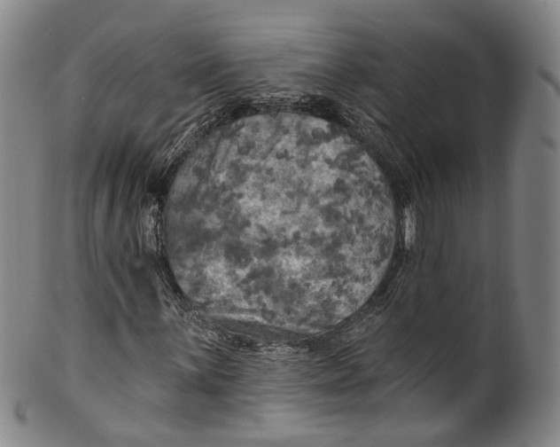 X0000100501059200806271254