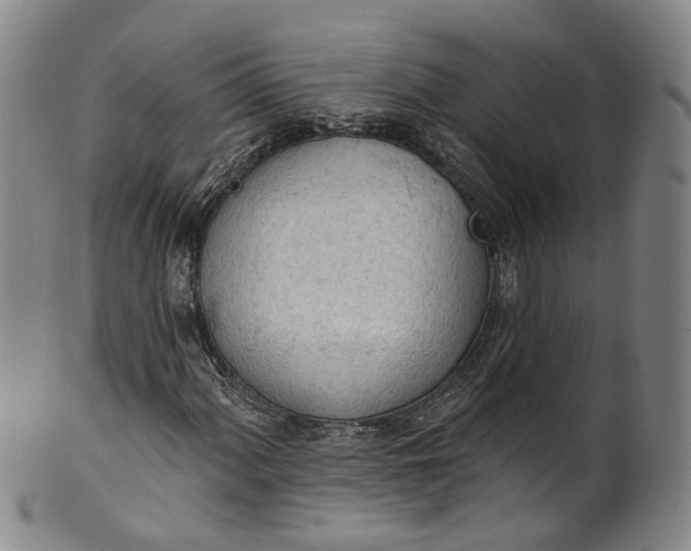 X0000100501060200806271254