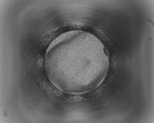 X0000100501061200806271254