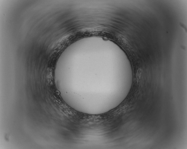 X0000100501062200806271254