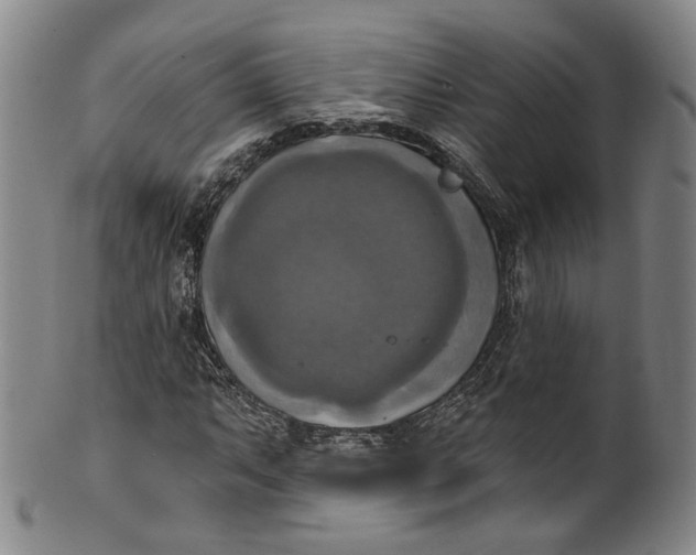 X0000100501063200806271254