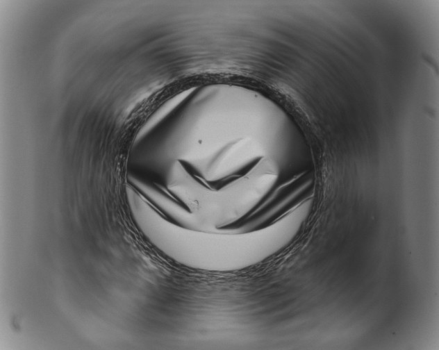 X0000100501064200806271254