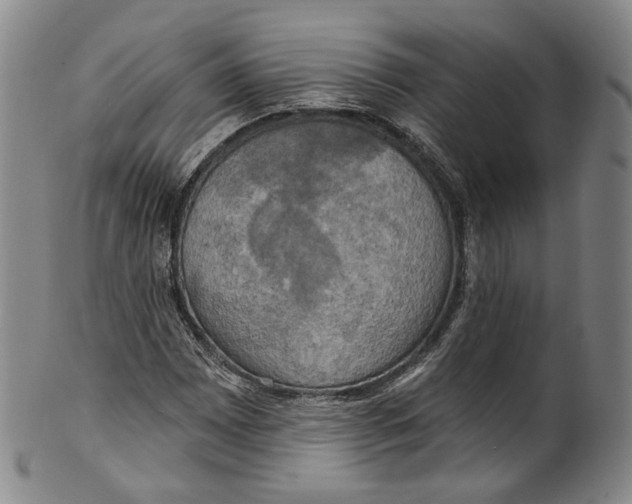 X0000100501065200806271254