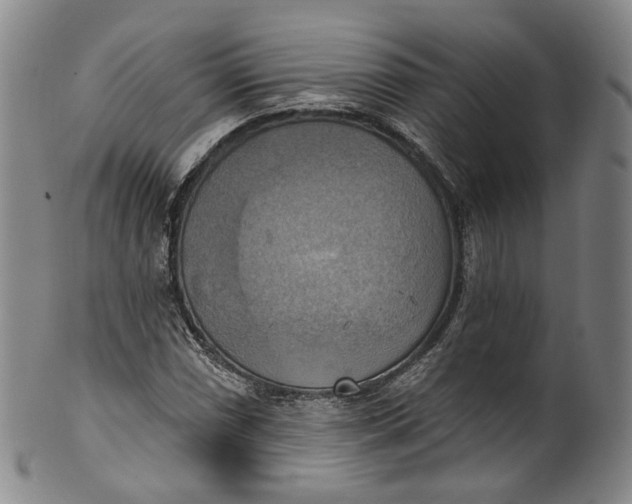 X0000100501066200806271254