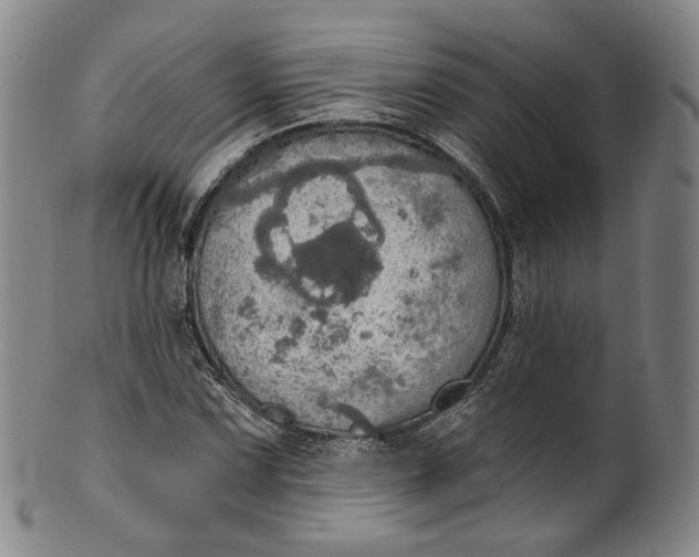 X0000100501067200806271254