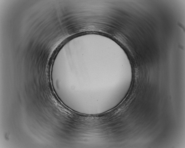 X0000100501068200806271254