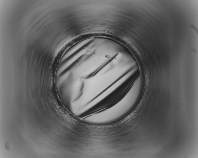 X0000100501069200806271254