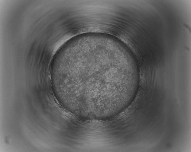 X0000100501070200806271254