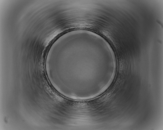 X0000100501071200806271254