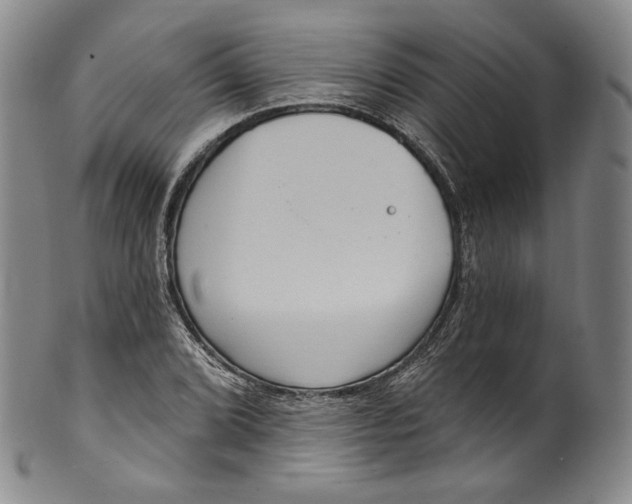 X0000100501072200806271254