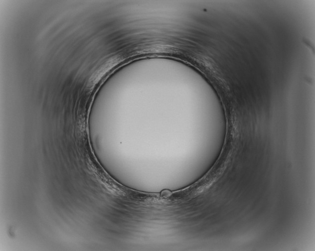 X0000100501073200806271254