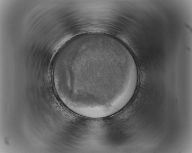 X0000100501074200806271254