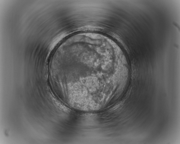 X0000100501075200806271254