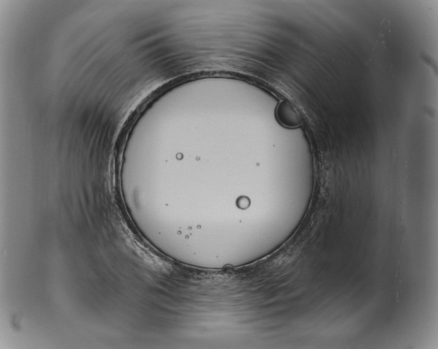 X0000100501076200806271254