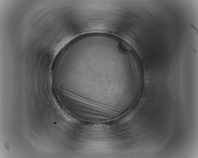 X0000100501077200806271254