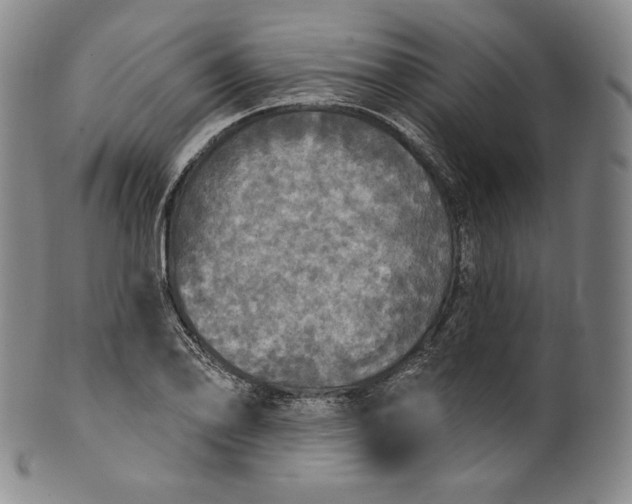 X0000100501078200806271254