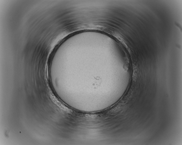 X0000100501080200806271254