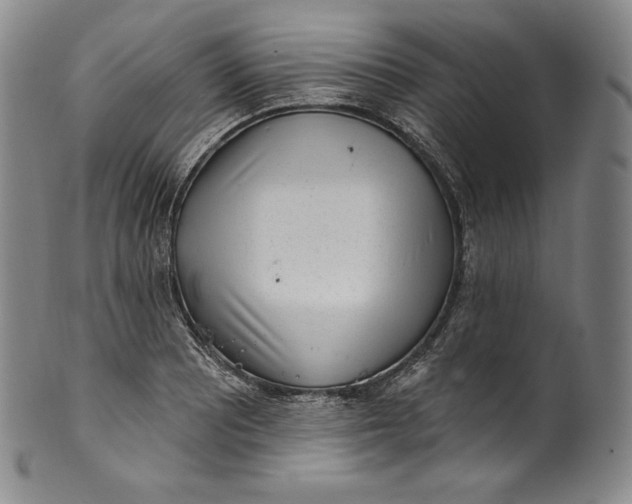 X0000100501081200806271254