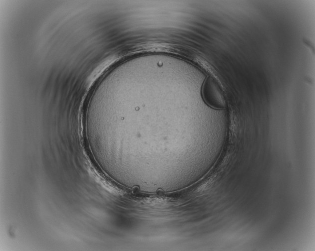 X0000100501082200806271254