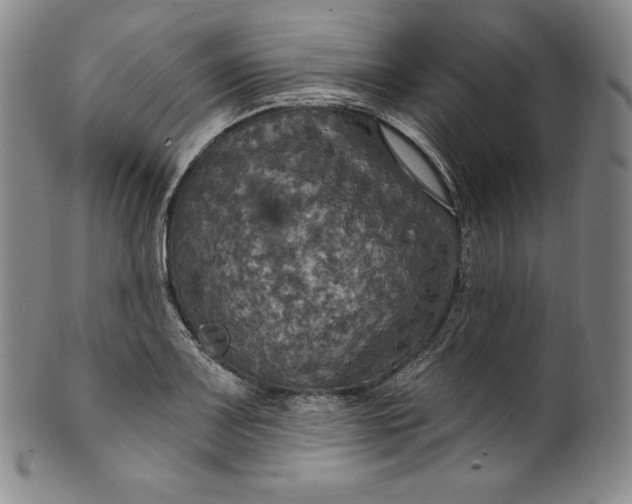 X0000100501083200806271254