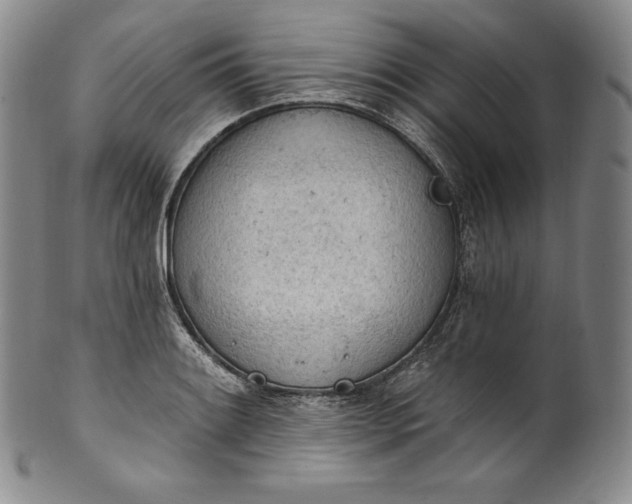 X0000100501084200806271253