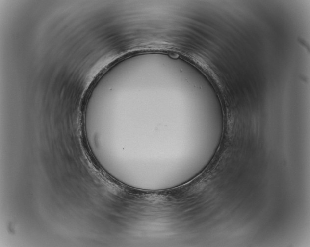 X0000100501085200806271253