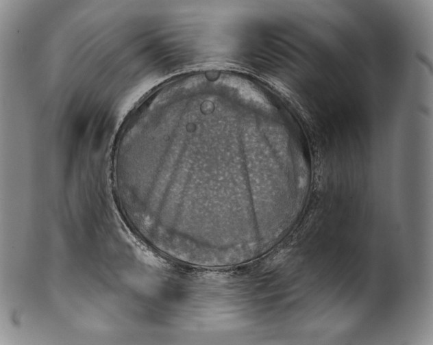 X0000100501086200806271253