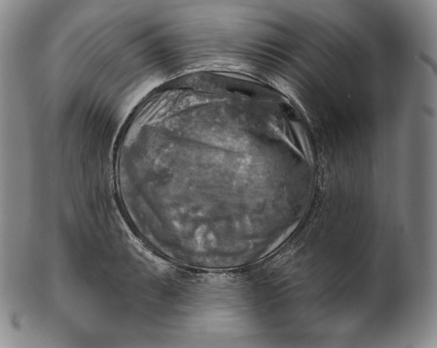 X0000100501087200806271253