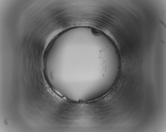 X0000100501088200806271253