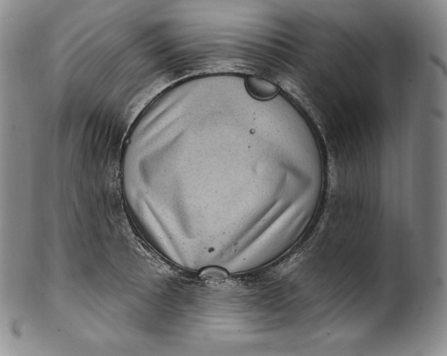 X0000100501089200806271253