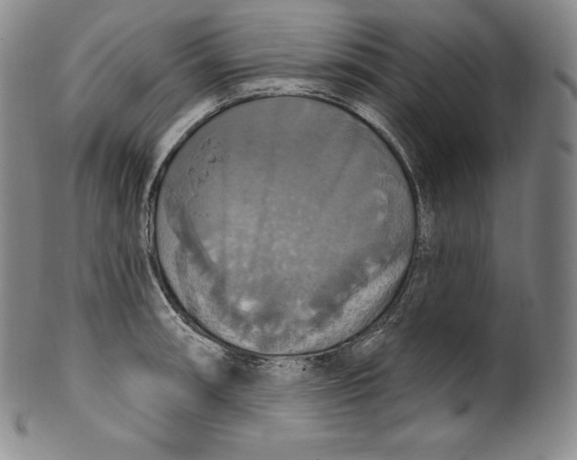 X0000100501090200806271253