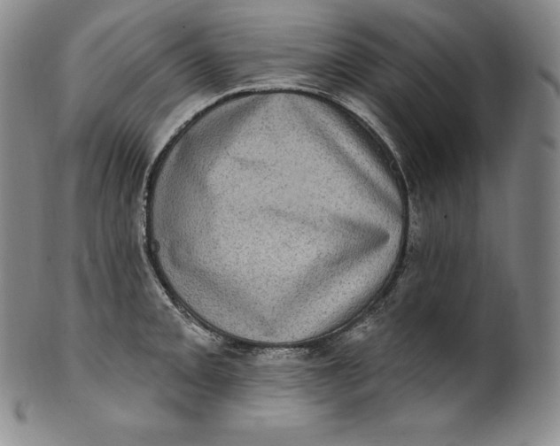 X0000100501093200806271253