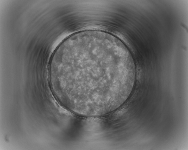 X0000100501094200806271253