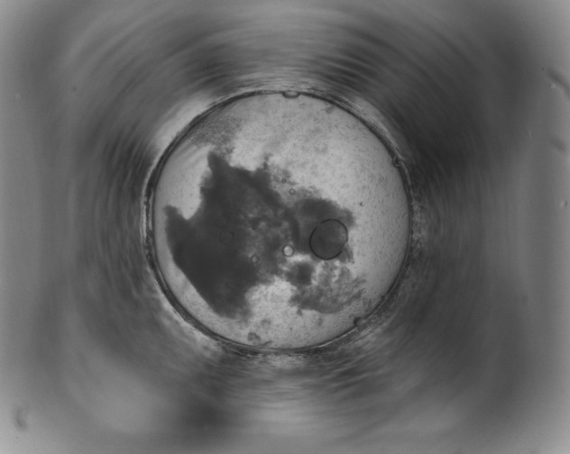 X0000100501095200806271253