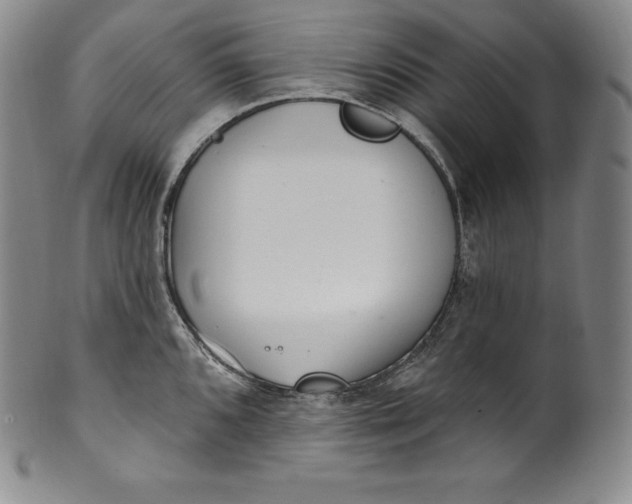 X0000100501096200806271253