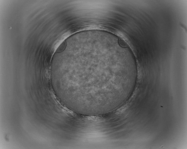 X0000100501097200806271253