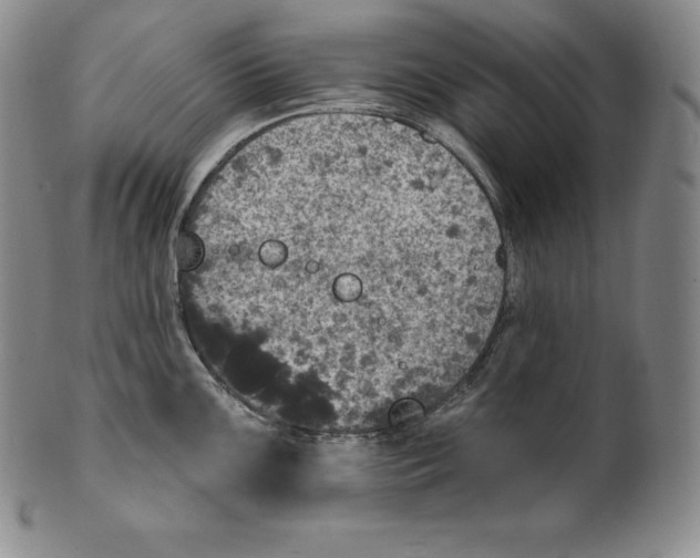 X0000100501099200806271253