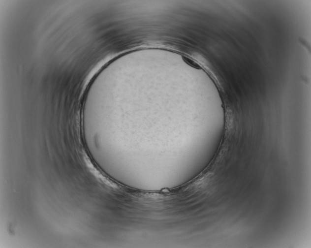 X0000100501100200806271253