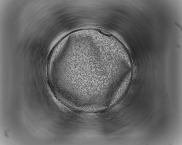 X0000100501101200806271253