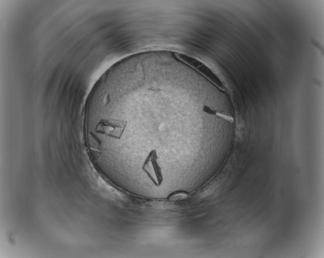 X0000100501102200806271253