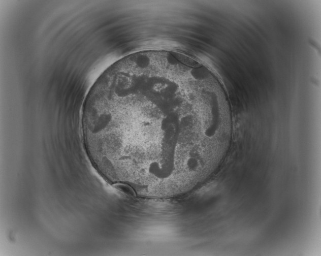 X0000100501103200806271253