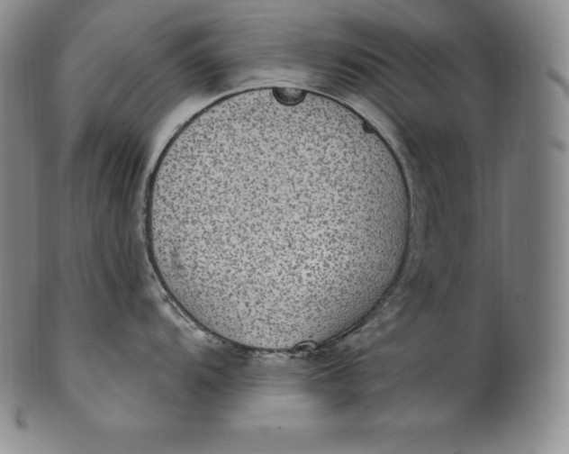 X0000100501104200806271253