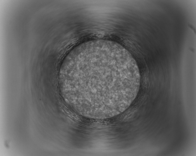 X0000100501105200806271253