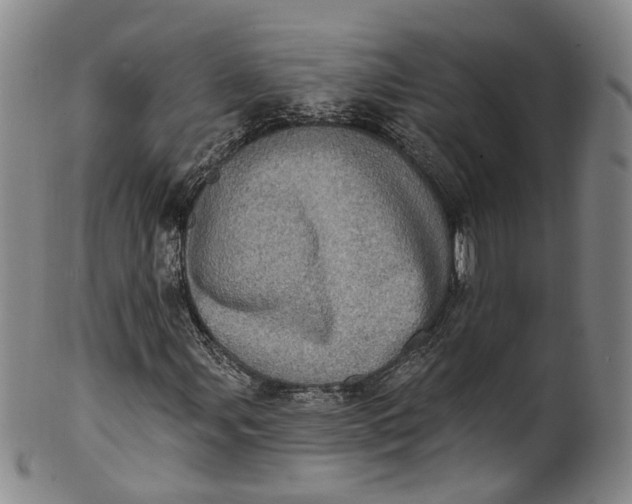 X0000100501107200806271253