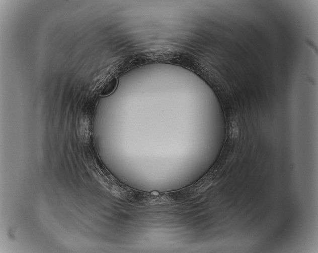 X0000100501108200806271253