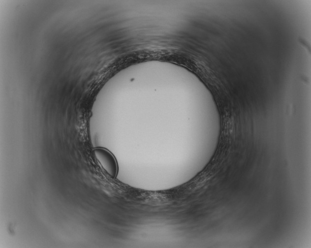 X0000100501109200806271253