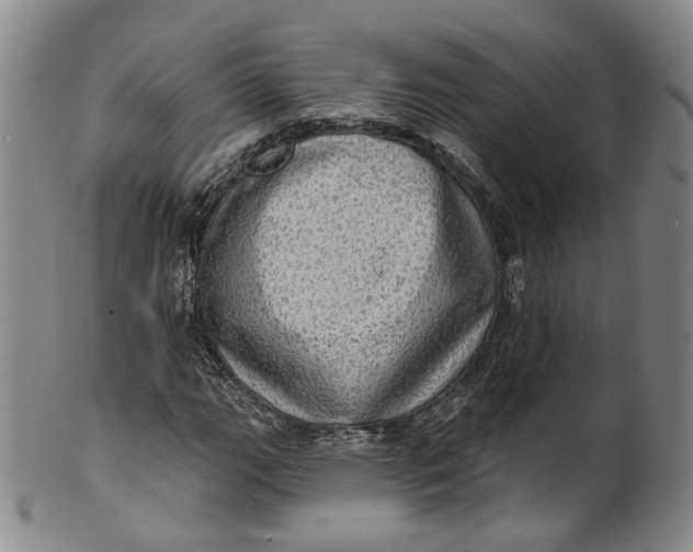 X0000100501111200806271253