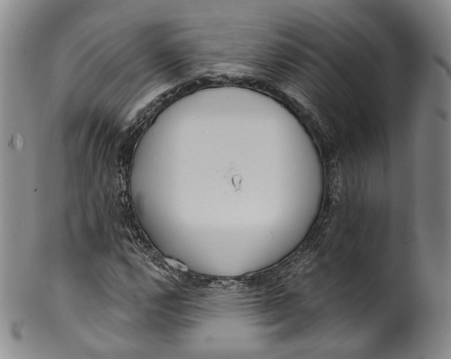 X0000100501112200806271253