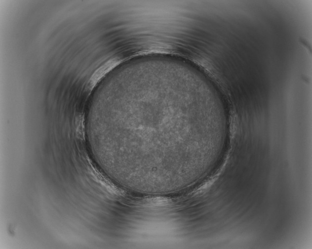 X0000100501113200806271253